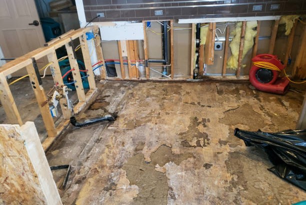 Water Damage Restoration Company Port Charlotte FL